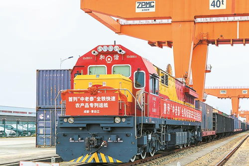 首列中老泰全鐵快速農(nóng)產(chǎn)品專列抵蓉，國際物流新動脈全面打通